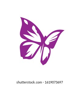 Beauty Butterfly Logo Template Vector icon design