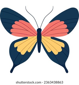 beauty butterfly with multicolor wings open isolated