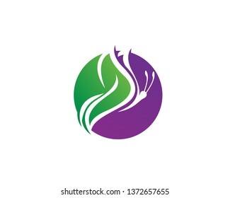 Beauty Butterfly Vector icon design