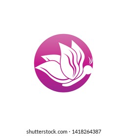 Beauty Butterfly Vector icon design