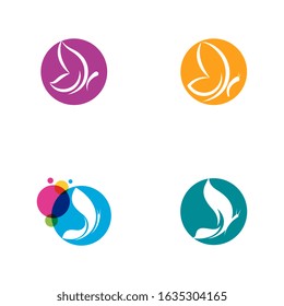 Beauty Butterfly Vector icon design