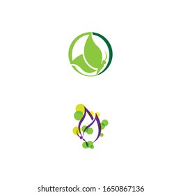 Beauty Butterfly Vector icon design