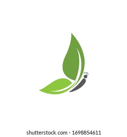Beauty Butterfly Vector icon design