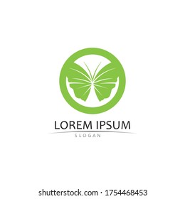 Beauty Butterfly Vector icon design and logo beauty animal