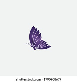 Beauty Butterfly Vector icon design