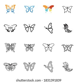 Beauty Butterfly Vector icon design