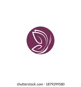 Diseño de iconos de Beauty Butterfly Vector