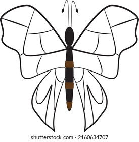 Plantilla de logotipo del vector de mariposa de belleza