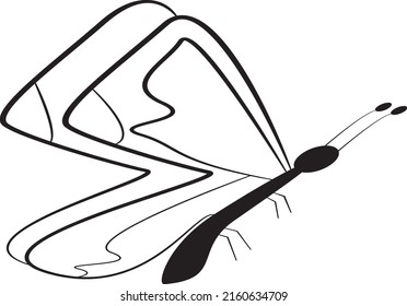 Beauty Butterfly Vector Logo Template