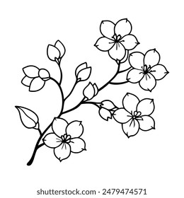 The Beauty of Cherry Blossom Branches in Line Art