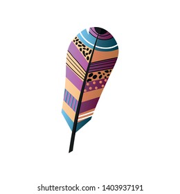 Beauty colorful bird feather in different color ornament