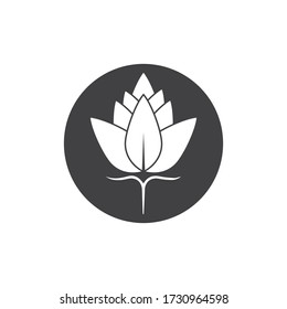 Beauty Cotton flower vector , Simple  icon Cotton flower template symbol nature