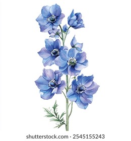 Schönheit Delphinium Blume Aquarell Clipart Illustration