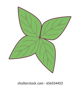 beauty ecology leaves to decoration design