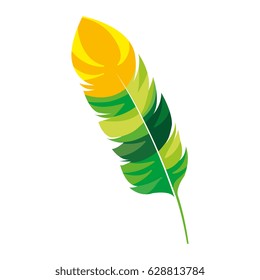 beauty and exotic feather