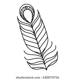 beauty and exotic feather