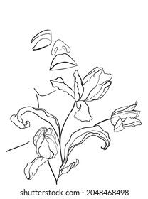 Beauty face with flower tulips, line drawing art. Abstract minimal portrait. - Vector illustration