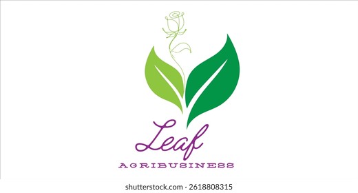 Beauty Fashion logo and brand for cosmetic company and beauty care	