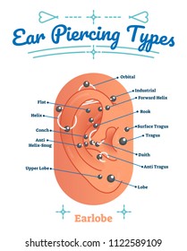 Beauty and fashion medical anatomical vector illustration with ear piercing types. Pierced human earlobe closeup labeled scheme with lobe, flat, helix, conch, orbital, rook, tragus and daith.