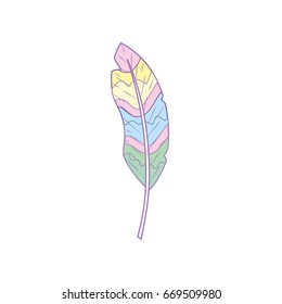 beauty feather style with decoration design