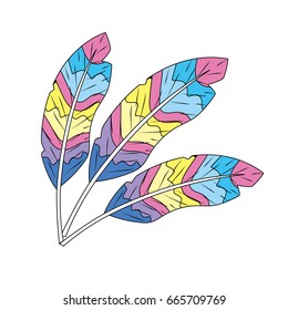 beauty feathers style with decoration design