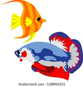 Beauty Fish Animal Vector Illustration