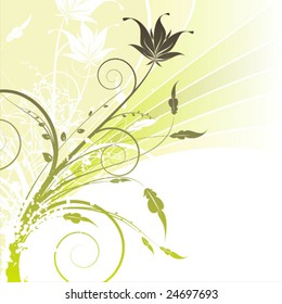 Beauty floral card