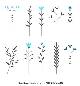 beauty  floral set elements with leaves and flowers 