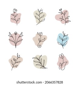 Vorlage für Vektorsymbol in Schönheitsflora