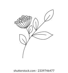 Beauty florist vector icon design template