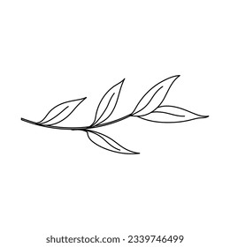 Beauty florist vector icon design template