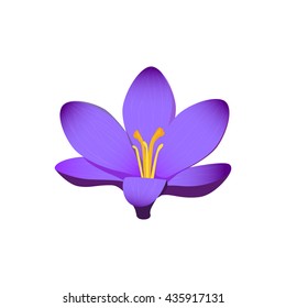 Beauty flower design flat style isolated. Blooming blue flower with big beautiful petals, summer or spring nature floral plant and graphic blossom exotic natural flora, vector illustration