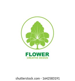 Beauty Flower Logo Design Vector
