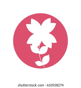 beauty flower natural icon vector illusration eps 10