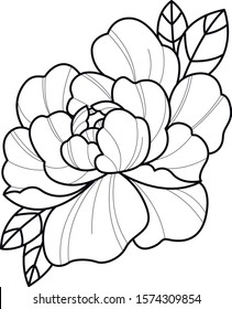 beauty flower peony design flash 