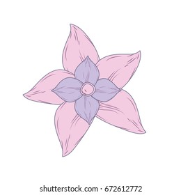 beauty flower with petals to decorative design
