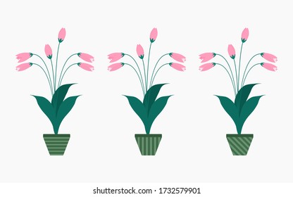 Beauty flower planters in green pot 