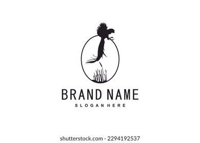 Beauty Flying Pheasant Bird over the grass Portrait Picture Frame Silhouette Logo design