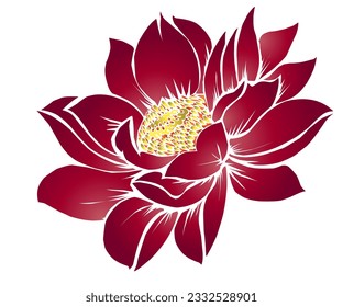 The beauty of the gradation design of the lotus lotus lotus flower Nelumbo nucifera Proteales Tracheophyta Nelumbonaceae is red