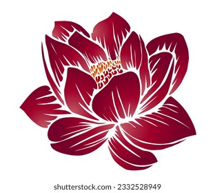 The beauty of the gradation design of the lotus lotus lotus flower Nelumbo nucifera Proteales Tracheophyta Nelumbonaceae is red