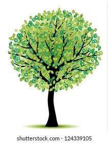 beauty green tree