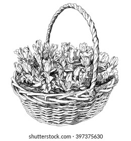 Beauty hand drawn basket of flowers