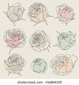Beauty hand drawn flowers
