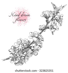 Beauty hand drawn illustration with flowers .