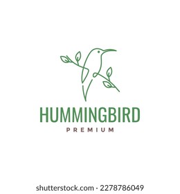 beauty hummingbird long beak perched tree feminine line art minimal logo design vector