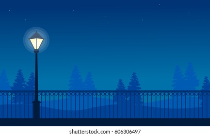 Beauty landscape park with street lamp at night