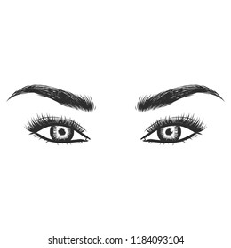Beauty lash and brow studio logo. Typography poster. Eye, eyebrow and long eyelashes. Vector illustration for gift card. Black on white background. For beauty salon, lash extensions maker, brow master