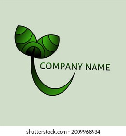 beauty logo with vector format