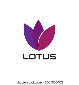 Beauty LOTUS flower vector design logo Template icon