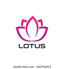 Beauty LOTUS flower vector design logo Template icon